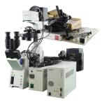 [DW]USED 8 день гарантия OLYMPUS IX-81 Microscope микроскоп IX81S1F-2 IX2-UCB BH2-RFL-T3 10× 20× 40× 100× шнур электропитания sof...[05159-0006]