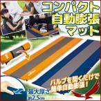 レジャーシート マットレス コンパクト自動膨張マット 2.5cm 長さ 64×190cm マット シート 連結可能 敷物 ピクニックシート 厚手 クッション アウトドア 車中泊