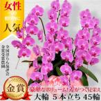 �y100���ۏ؁z�Ӓ��� ���j�� ��� �s���N 5�{����45�ֈȏ� �J�Əj�� �J�X�j�� �A�C�j�� ����