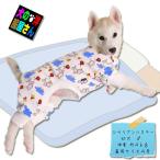 犬服 お馬さんとてんとう虫柄パジ