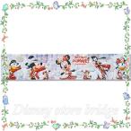 ステッカー ベリーベリーミニー 2020 東京ディズニーランド 限定 ミッキー ミニー マウス シール ラベル 貼り札 デコレーションシール 目印シール 雑貨