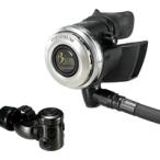Bism Be izmPLATINA GRAND NELEUS платина Grand nere незначительный регулятор ver.W [RX4101PT(Ver.W)]
