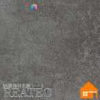  солнечный getsu задний Tec TU-5667 задняя поверхность склеивание . есть косметика плёнка 122cm ширина 