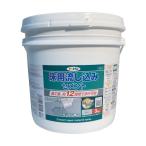 アサヒペン 床用流し込みセメント グレー 3kg C015 1点