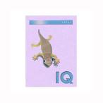 伊東屋 バイオトップカラーA4(500枚入) ラベンダー BT510