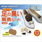 アイスリー工業 足の臭い解消シート 3580