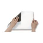  Aska антибактериальный белый магнит сиденье S AWM14