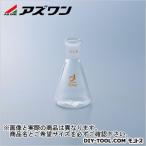 アズワン 共通摺合三角フラスコ 100ml 1-4330-04