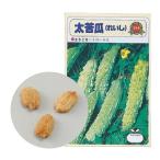 アーテック 野菜の種ツルレイシ(苦瓜)苗床付 2735