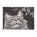 Yahoo! Yahoo!ショッピング(ヤフー ショッピング)※法人専用品※アーテック スクラッチボード枠なし紙製 360×260×厚0.6mm 13177