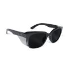 bolle 保護メガネ STKS410 BLACKGLOSS FRAME SMOKE LENS STK41N20A 1個