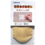 フジワラ化学 京壁傷なおし ウスキ色 14g