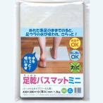 フジワラ化学 足乾バスマットミニ 8158800