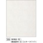 フクビ化学工業 HCアルパレージ S06 2450 AP2S06H