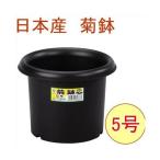  зеленый Pal . горшок 5 номер 