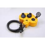 ハタヤ(HATAYA) ハタヤマルチタップ延長コード三相200V接地付20A1mコンセント3ツ口 HM-A