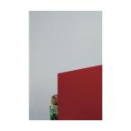 光 スミホリデーアクリル板厚み2mm(レモン透明) レモン透明 320×545mm A200-2S