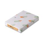  север . корпорация копировальная бумага NEW штраф цвет A4 orange 210×297mm 007574617 500 листов 