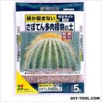  цветок ....... суккулентное растение. земля 5L