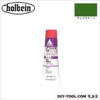 ホルベイン画材 HAG9号D766サップグリーン 40ml