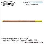 ホルベイン画材 CdA788-002パステルペンシルシルバーグレイ