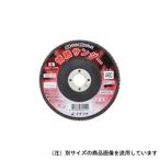 イチグチ 情熱サンダーA#120 100×15mm #120     60164 1点