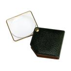 池田レンズ工業ゴールドポケットルー...