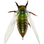 �W���N�\�� ���� _ TTB(�c�N�c�N�{�E�V)