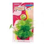寿工芸 PON-S マッシュルーム 1個