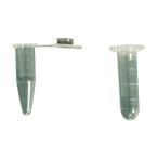 レオナ レオナ マイクロチューブ