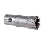 ミヤナガ デルタゴンメタルボーラー250A(有効長25mm) 22.0mm DLMB25A22