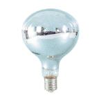 日動電工 レフ交換球500W NRF-500-110V