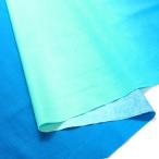 日本紐釦貿易(Nippon Chuko) 日本紐釦貿易 ハワイアン グラデーションプリント生地 シーチング エメラルドグリーン×セルリアンブルー DD11216-501-2M 2m