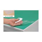 ナイキ デスクマット ダブルタイプ(下敷グリーン) 透明 1090×690 CR117D-GR