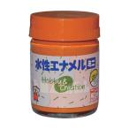 ニッペホーム 水性エナメルミニ 25ml オレンジ HSB009-25 オレンジ 0.025L 49365382 1点