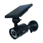 大進 DAISHIN カメラ型ソーラーセンサーライト 105×140×200MM DLS-KL600