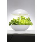 オリンピア照明 家庭用水耕栽培器  Akarina01タッチ 白 32cm OMA01RN1