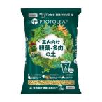  Pro to leaf салон предназначенный . лист * много мясной земля 7 номер горшок для 3.5L 1 шт 