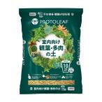  Pro to leaf салон предназначенный . лист * много мясной земля 10 номер горшок 8.4L 1 шт 