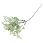 ポピー グリーンジンジャーピック W/G 便利グッズ（文具・OA機器） FG -4618