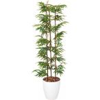 ポピー クロチク1.5M W 便利グッズ（文具・OA機器） GLPA-030