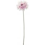 ポピー スパイダーガーベラ W/L 全長24cm・花径4〜7.5cm・幅13.5cm FA -7233