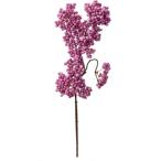 ポピー ペッパーベリースプレー P 全長56.5cm・花径8.5〜10.5cm FG -4547
