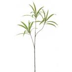 ポピー ドラセナブランチ GR W5〜5.5cm×H5〜5.5cm 全長30.5cm FG -4971