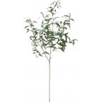 ポピー オリーブブランチ GR W5.5〜6cm×H4.5〜5cm 全長30cm FG -4988
