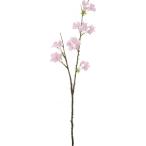 ポピー サクラブランチ P 全長56.5cm・花径.1.5〜3cm FS -7881