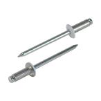 エビ印 カラーリベット/エコパック50 CNSA54WMP 50パック