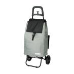 ※法人専用品※レップ バイカラー カートセット GYxBK 4534863545430 1点