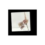 信栄物産 什器（ロッカー）用樹脂平面ミラー JM正1-1B 1枚