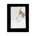 信栄物産 什器（ロッカー）用樹脂平面ミラー JM長1-1A 1枚